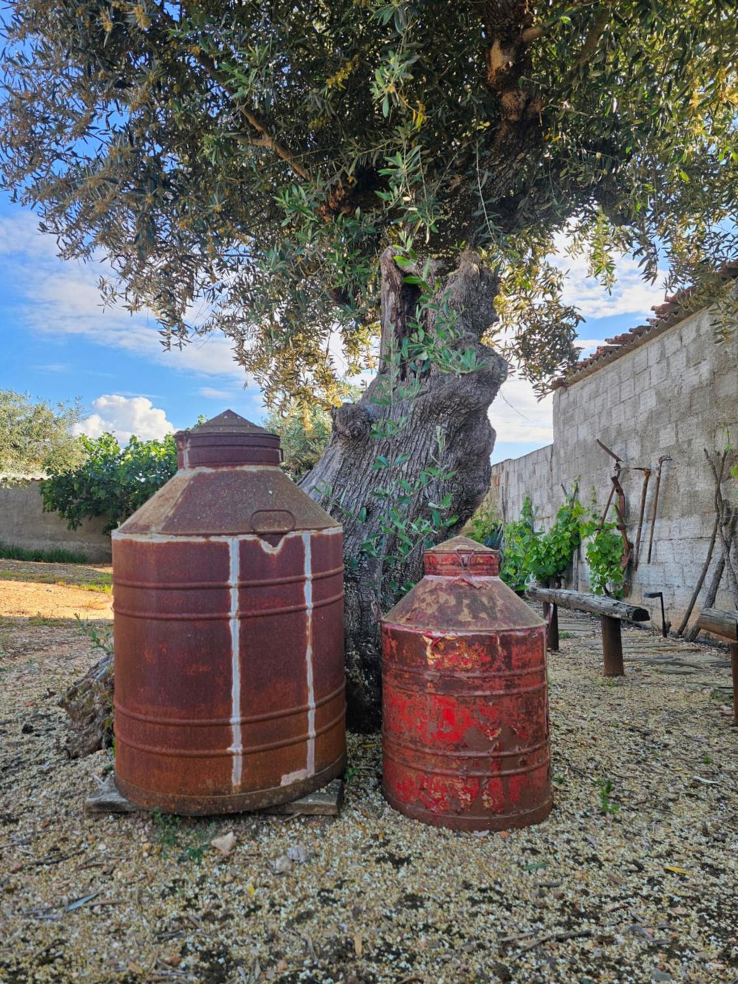 Russa Al Villa Lentiscais Bagian luar foto